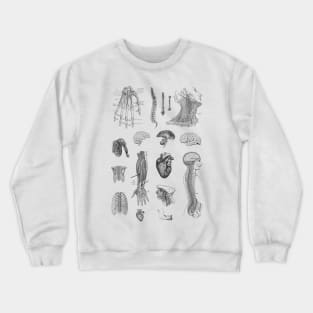 Vintage Anatomy Illustration Crewneck Sweatshirt